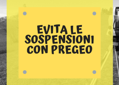 Evita le Sospensioni con PREGEO 10.6.1